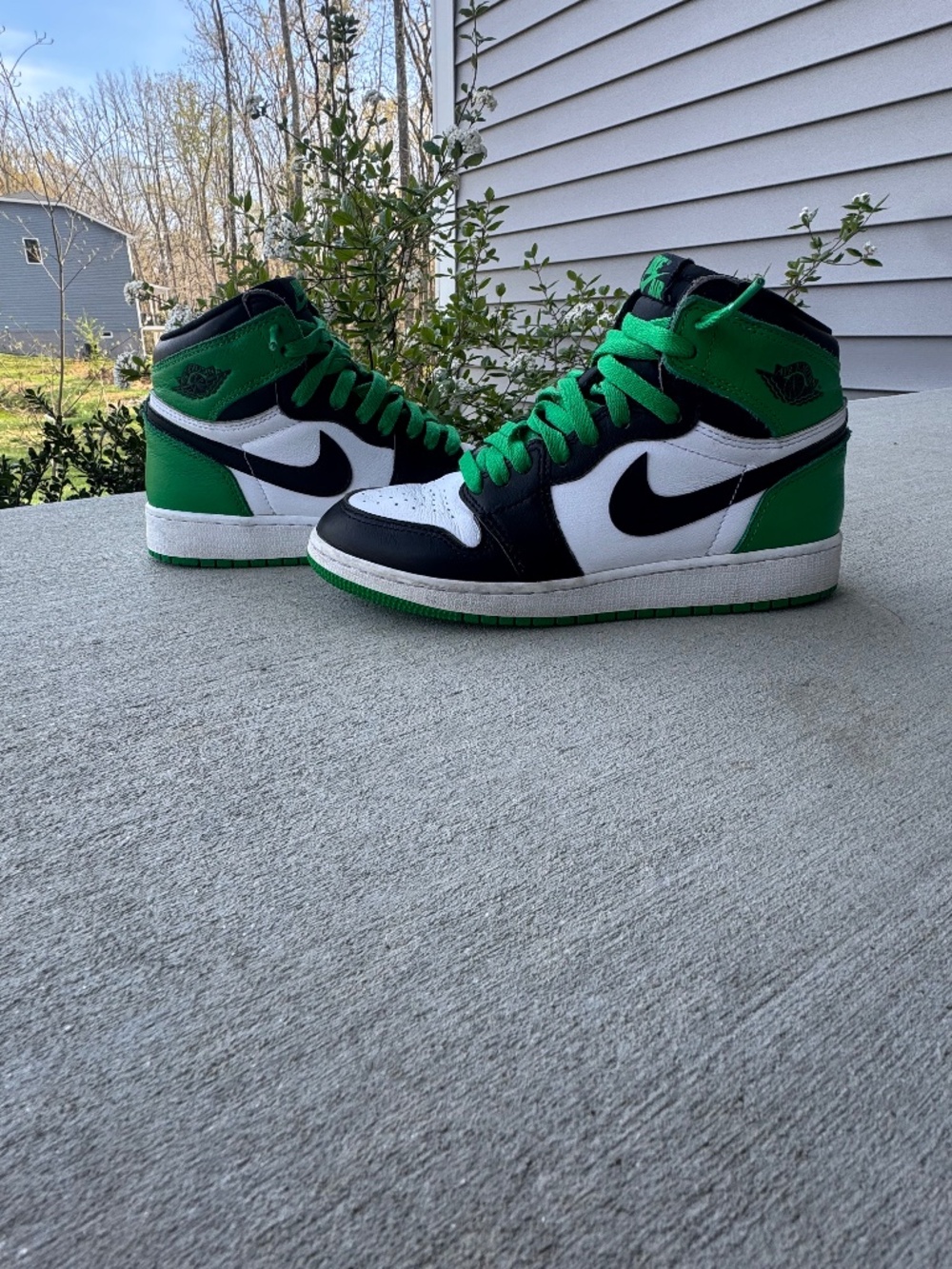 Nike Jordan 1 Pine Green - Youth Size 5